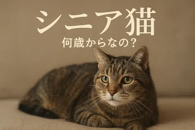 シニア猫 何歳からなの？