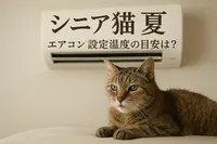 シニア猫 夏 エアコン 設定温度の目安は？