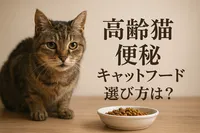 高齢猫の便秘｜キャットフード 選び方は？