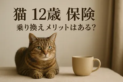 猫 12歳 保険 乗り換え メリットはある？