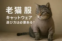 老猫 服 キャットウェア 選び方は必要ある？