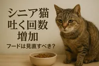 シニア猫 吐く 回数 増加 フードは見直すべき？