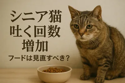 シニア猫 吐く 回数 増加 フードは見直すべき？