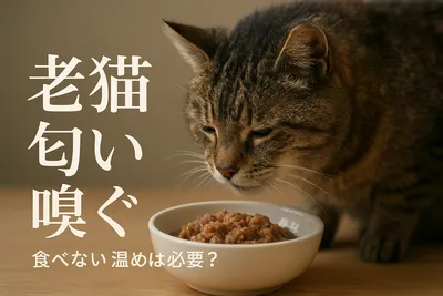 老猫 匂い 嗅ぐ 食べない 温めは必要？