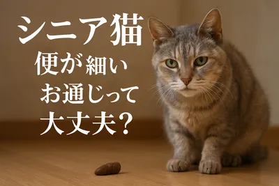 シニア猫 便が細い お通じって大丈夫？