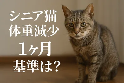 シニア猫 体重減少 1ヶ月 基準は？