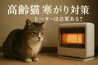 高齢猫 寒がり 対策 ヒーターは必要ある？