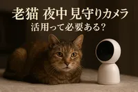 老猫 夜中 見守りカメラ 活用って必要ある？