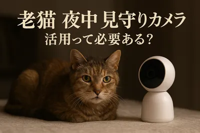 老猫 夜中 見守りカメラ 活用って必要ある？