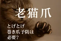 老猫 爪 とげとげ 巻き爪 予防は必要？