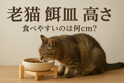 老猫 餌皿 高さ 食べやすいのは何cm？