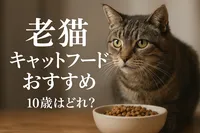 老猫 キャットフード おすすめ 10歳はどれ？