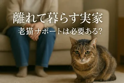 離れて暮らす 実家 老猫 サポートは必要ある？