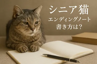 シニア猫 エンディングノート 書き方は？
