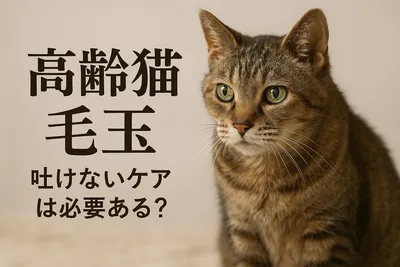 高齢猫 毛玉 吐けない ケアは必要ある？