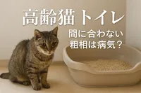 高齢猫 トイレ 間に合わない 粗相は病気？