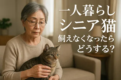 一人暮らし シニア 猫 飼えなくなったらどうする？