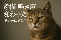 老猫 鳴き声 変わった 低いのは病気？