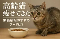 高齢猫 痩せてきた 栄養補給 おすすめ フードは？