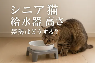 シニア猫 給水器 高さ 姿勢はどうする？