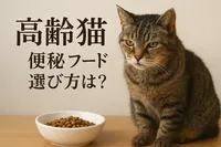 高齢猫 便秘 フード 選び方は？