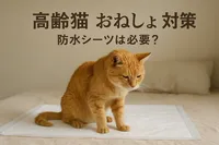 高齢猫 おねしょ 対策 防水シーツは必要？