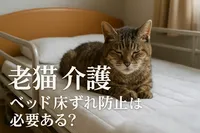 老猫 介護 ベッド 床ずれ防止は必要ある？