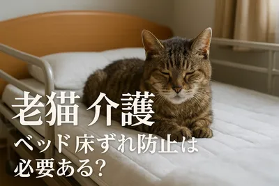 老猫 介護 ベッド 床ずれ防止は必要ある？