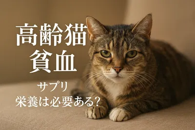 高齢猫 貧血 サプリ 栄養は必要ある？
