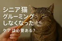 シニア猫 グルーミング しなくなった ケアは必要ある？