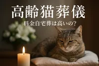 高齢猫 葬儀 料金 自宅葬は高いの？