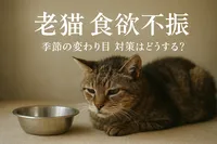 老猫 食欲不振 季節の変わり目 対策はどうする？