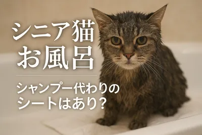 シニア猫 お風呂 シャンプー 代わりのシートはあり？