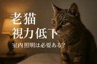 老猫 視力 低下 室内 照明は必要ある？