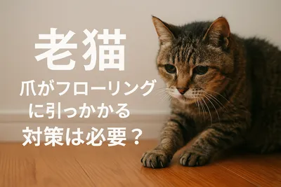 老猫 爪がフローリングに引っかかる 対策は必要？