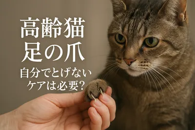 高齢猫 足の爪 自分でとげない ケアは必要？