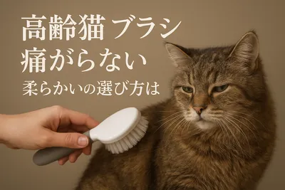 高齢猫 ブラシ 痛がらない 柔らかいの選び方は？