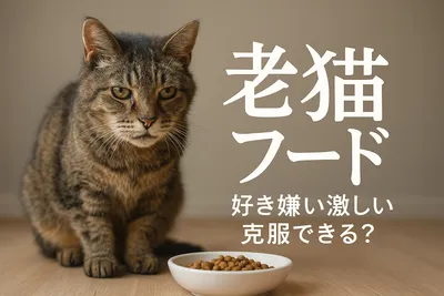 老猫 フード 好き嫌い 激しい 克服できる？
