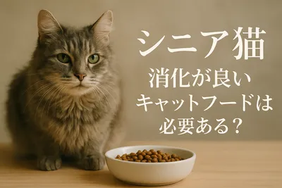 シニア猫 消化が良い キャットフードは必要ある？