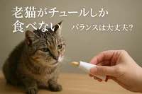 老猫がチュールしか食べない、バランスは大丈夫？