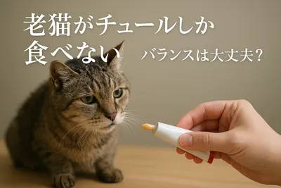 老猫がチュールしか食べない、バランスは大丈夫？