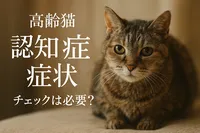 高齢猫 認知症 症状 チェックは必要？