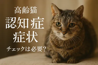 高齢猫 認知症 症状 チェックは必要？