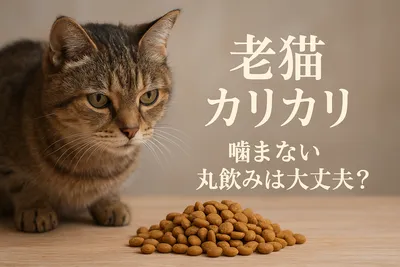 老猫 カリカリ 噛まない 丸飲みは大丈夫？