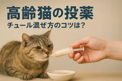 高齢猫の投薬、チュール混ぜ方のコツは？