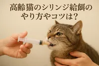 高齢猫のシリンジ給餌のやり方やコツは？