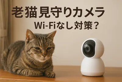 老猫 見守りカメラ Wi-Fi なし 対策？