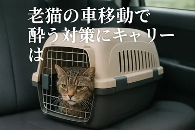 老猫の車移動で酔う対策にキャリーは有効？