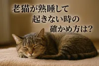 老猫が熟睡して起きない時の確かめ方は？