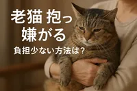 老猫 抱っこ 嫌がる 負担少ない方法は？